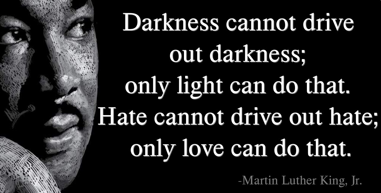 Darkness cannot drive out darkness; only light can do that. Anand Damani
