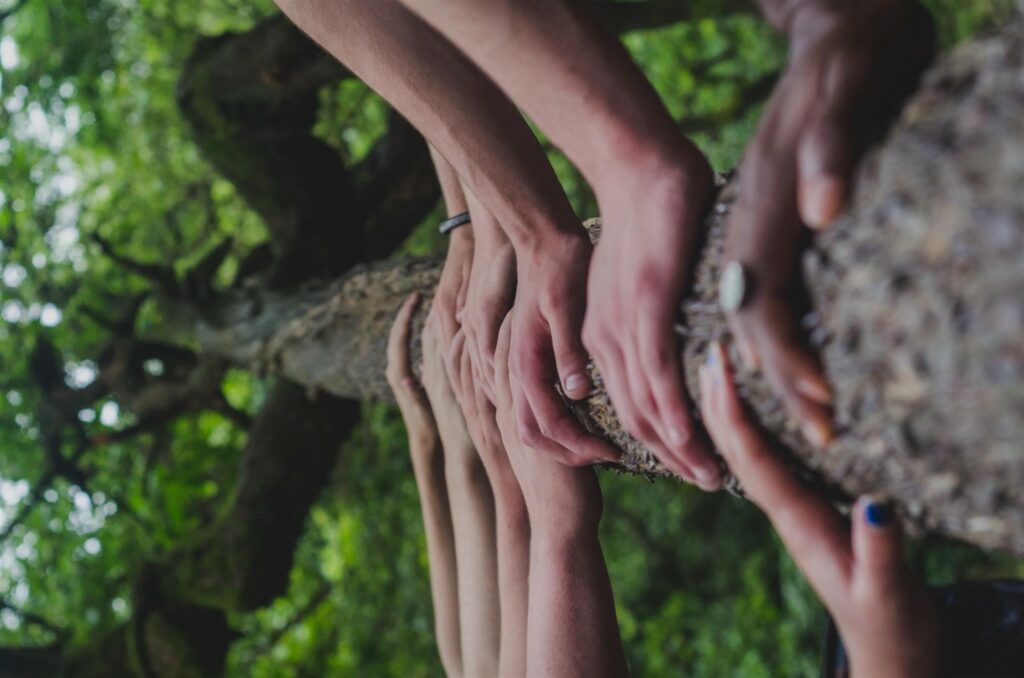 Hands holding tree