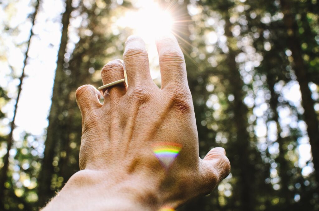 hand reaching sunlight
