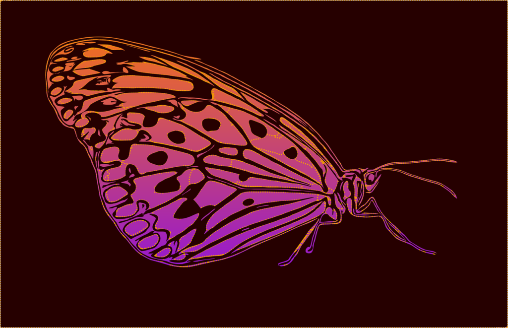 butterfly